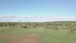 Drone shots of the Kenyan Grasslands News Clip