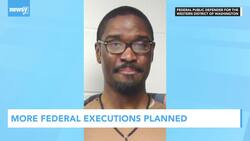 Newsy's Latest Headlines News Clip