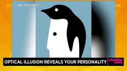 Cheddar Feeds: Optical Illusion and Roller Coaster Nightmare News Clip