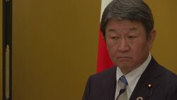Japan and SKorea FMs meet at G20 Instructional Video