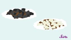 Save the Snowman! Engineering for Kids Instructional Video