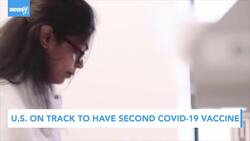 Newsy's Latest Headlines News Clip