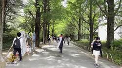 Gaza-born activist returns to Japan to support University of Tokyo solidarity encampment News Clip