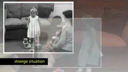 Ethnocentrism Instructional Video