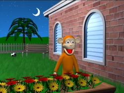 Cat - Sign Language Vocabulary Instructional Video