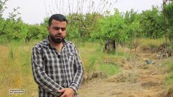 Northwestern Syria: February 6 earthquakes hit food production News Clip