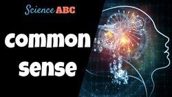 What Is Common Sense… Really? Instructional Video