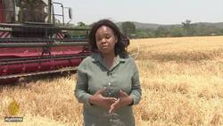 Zimbabwe: Return of white farmers may boost food production News Clip