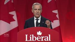 Carney says he will ‘build a stronger Canada for everyone’ following leadership win News Clip