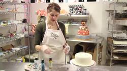 How to Airbrush a Cake Instructional Video