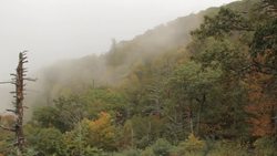 Shenandoah National Park - Shenandoah Salamander (For Elementary School Students) Instructional Video