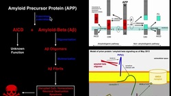 Prions | Mechanisms and Theories of Alzheimers Disease (Amyloid & Tau) Instructional Video