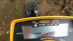 Metal Detector Finds Buried Treasure Stock Footage