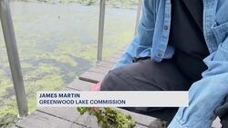 Greenwood Lake asks public for help protecting from the invasive water chestnut News Clip