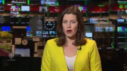 Conservative leadership race turns nasty News Clip