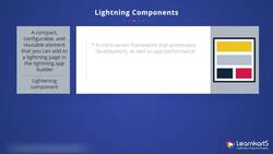 Salesforce Platform App Builder Certification Training - Lightning Components and Console Instructional Video