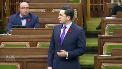 Conservatives call on Canadians to boycott Whole Foods over poppy controversy News Clip