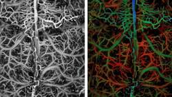 Fashionable technology Instructional Video