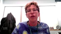 Festival du Voyageur snow sculptures among the latest casualties of Winnipeg's winter heat wave News Clip