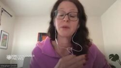 Ferry operators in B.C. prepare for Swifties News Clip