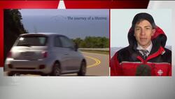 Cape Breton luring Trump opponents? News Clip