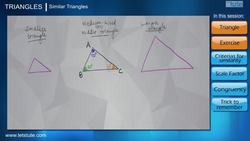 Introduction to Similar Triangles in Geometry Instructional Video