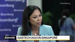 SKK Migas Vice Chairman on Upstream Oil, Gas News Clip