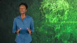 Environmental Racism: The Fight Against Hazardous Waste in Black Communities Instructional Video