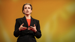 The incredible secrets hidden in your immune system | Beck Brachman Instructional Video