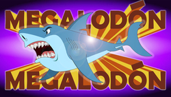 Megalodon Instructional Video
