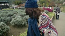 Asian tourist walking at Oishi park in Japan Stock Footage