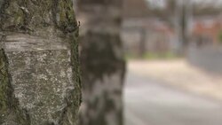 Government unveils freeports plan to boost Brexit trade and employment News Clip