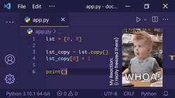 The Ultimate Guide to Python Programming With Python 3.10 - Shallow and Deep Copies Instructional Video