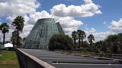 Panning Video of Cone Shape Glass Greenhouse Surrounded By Palm Trees and Blue Sky Stock Footage