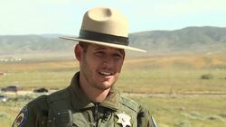 It's not the 'super bloom,' but California flowers are still in tough competition with each other News Clip