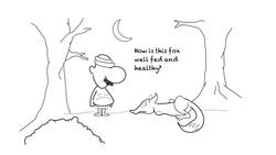 Sadhguru - The Crippled Fox Instructional Video