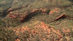 Bushwhacked! - Series 2 - Episode 6 (Camels) Instructional Video