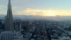 San Francisco Stock Footage