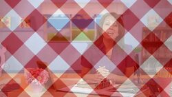 Is That a Fact? Instructional Video