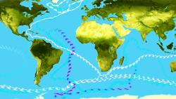 Science Kids: The Impact of Climate Change on the World's Oceans Instructional Video
