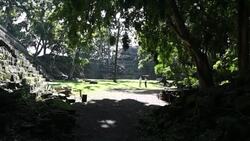 VOICED : Herencia maya en Honduras bajo amenaza, a 40 años de declarado Patrimonio Mundial de la UNESCO News Clip
