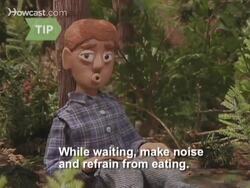 How to Survive a Bear Attack Instructional Video