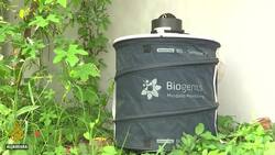 Vaccine hunt: How mosquito saliva may stop viruses News Clip