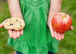 What is a Balanced Diet? Instructional Video