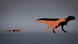 ‘Teenage’ carnivores wiped out mid-sized dinosaurs — study Instructional Video