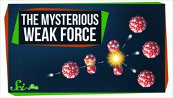 Why the Weak Nuclear Force Ruins Everything Instructional Video