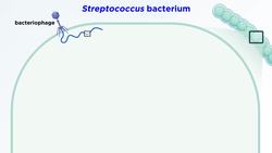CRISPR-Cas9 Genome Editing Technology Instructional Video