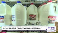 Average U.S. Gas Price Rises 22% In Two Weeks To Record $4.43 News Clip