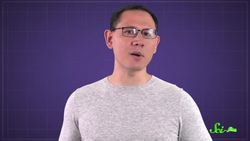 Why Does Time Slow Down During Car Accidents? Instructional Video