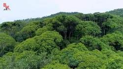 Drones in the Jungle! Instructional Video